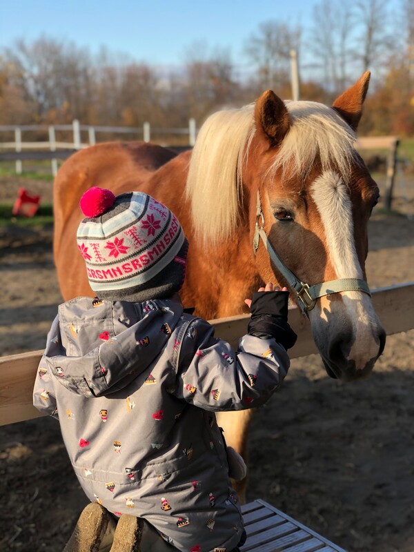 Frisette et une de nos plus jeune cavalière Victoria, une histoire d'amour.